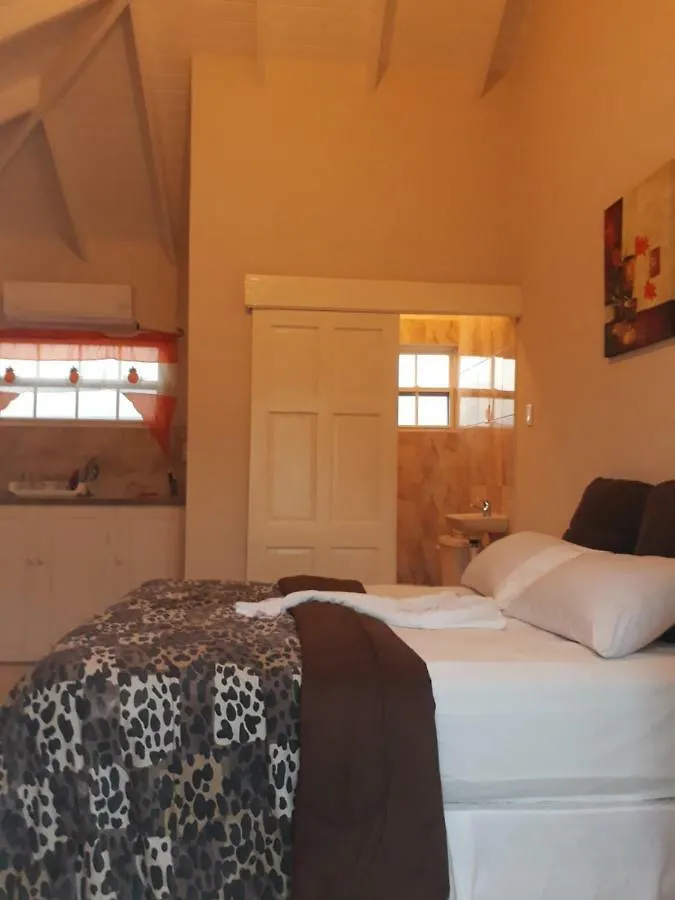 Haven House Apartments Christ Church