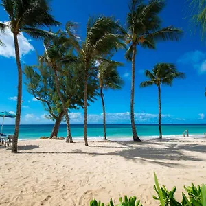 Turtle Beach, A Tribute Portfolio Station touristique